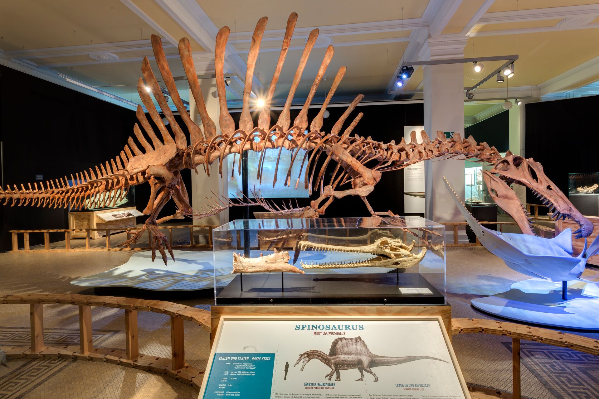 Ausstellung Saurierwelt, Museum für Naturkunde Berlin