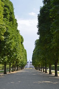 Baumallee im Schlosspark Pillnitz, Dresden