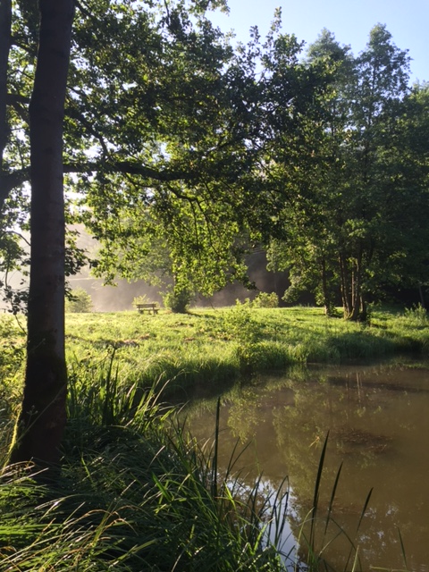 Zuhause in der Natur von Ricarda Lenz